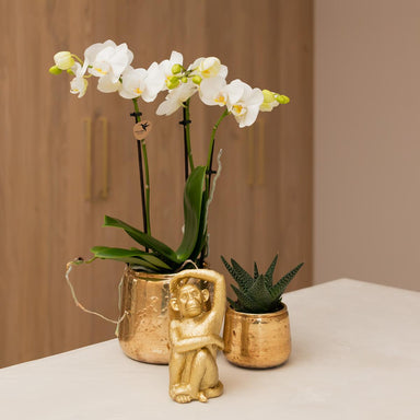 Kolibri Home | Luxury Bloempot - Gouden Keramieken Sierpot