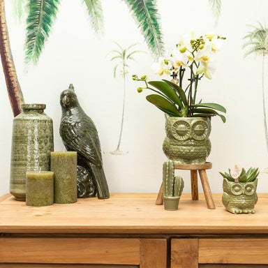 Kolibri Home | Owl Bloempot - Groene Keramieken Sierpot