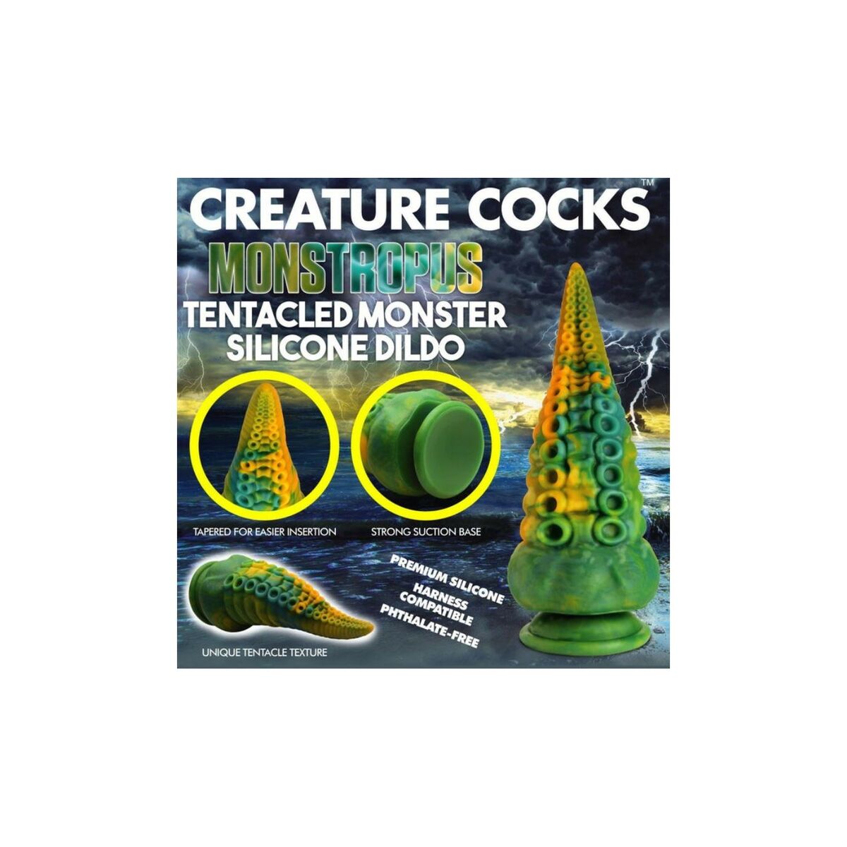 V4H52E9247B6F9231159F1683DE96075E5ER5572026P4