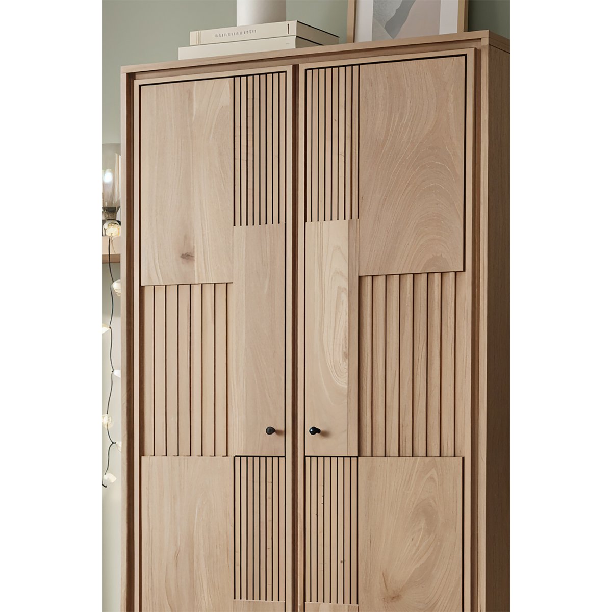 Kast met 2 deuren