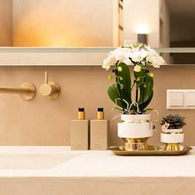 Kolibri Home | Le Chic Bloempot - Witte Keramieken Sierpot Met Gouden Details