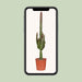 Euphorbia Trigona Rubra - Ø17Cm - ↕70Cm