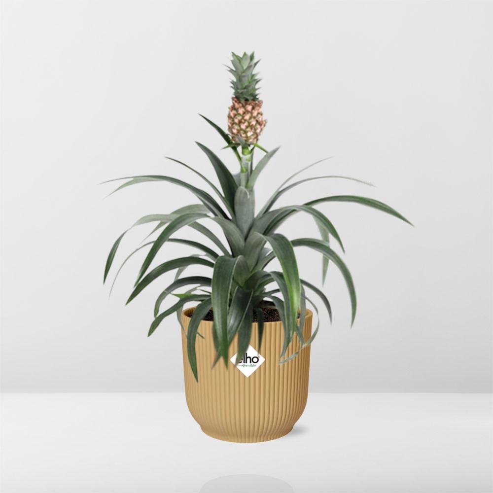 Ananas Mi Amigo In Elho Vibes Fold 14Cm Geel