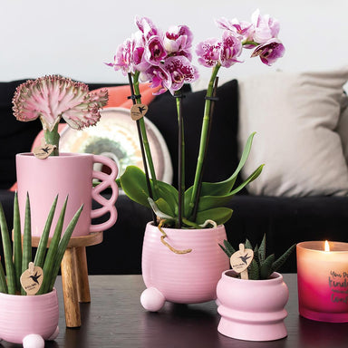 Kolibri Home | Rolling Roze Bloempot - Roze Keramieken Sierpot