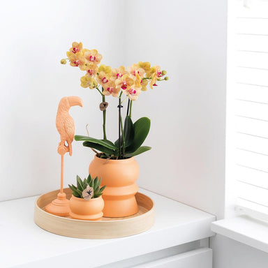 Kolibri Home | Tower Peach Bloempot - Peach Kleurige Keramieken Sierpot