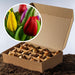 Tulpenbollen Kleurenmix