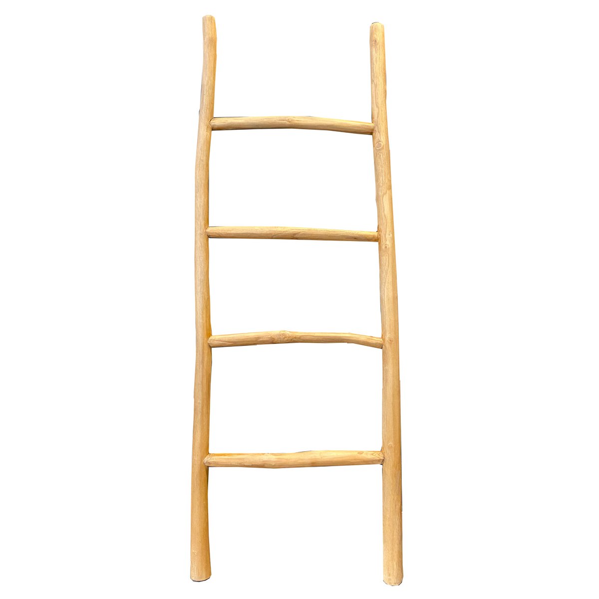 Regisseur