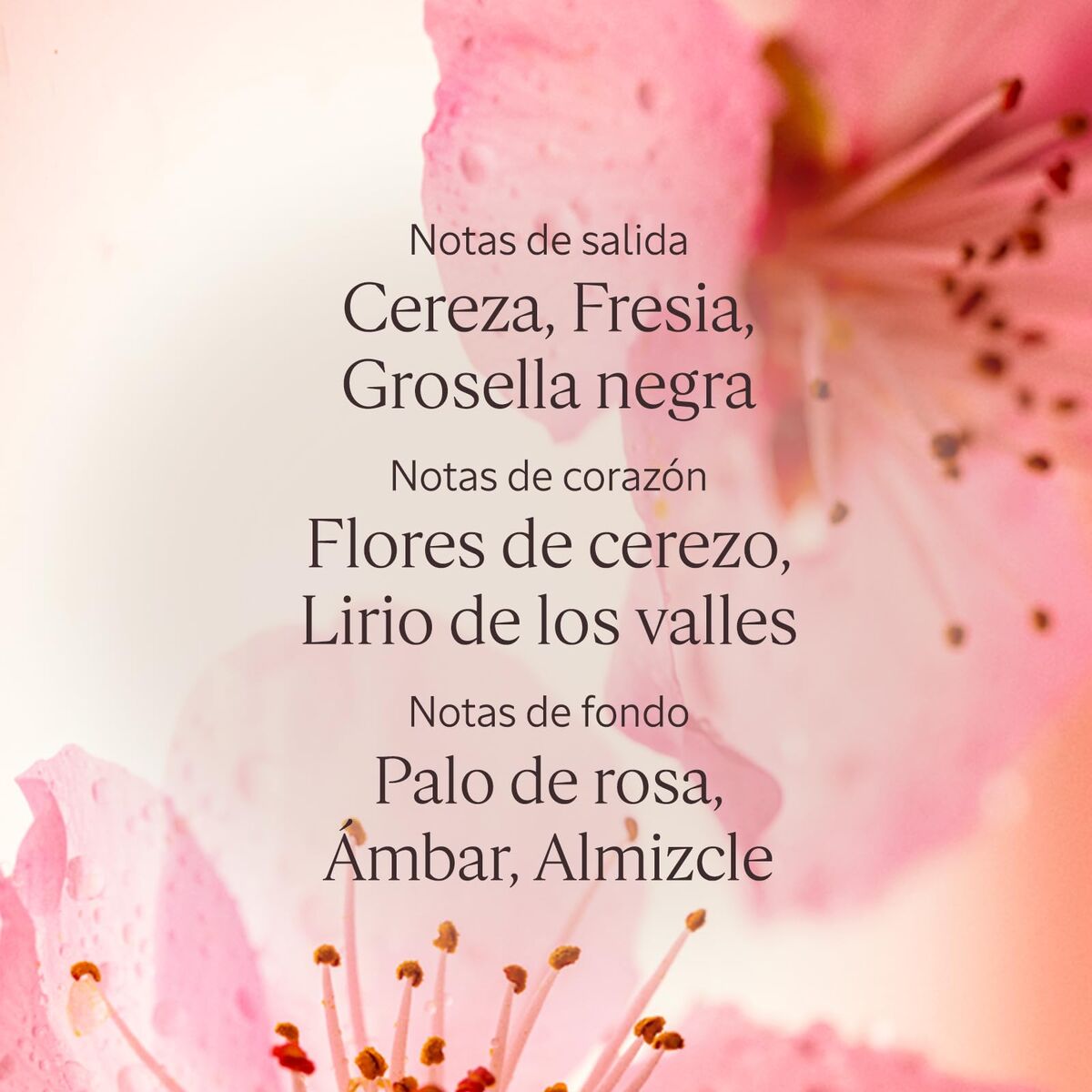 V3H9CB5457937ECC51AC57B189980A4D378R7592839P4