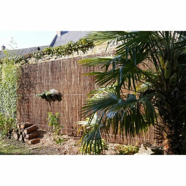 V4H9AA53280D75D49E4B4594B1F4D259904R5781083P2