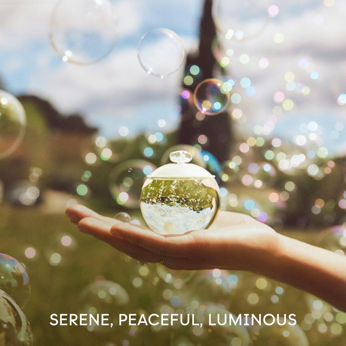 V1H8E97A92049B810E1D7752AE7D903F5B3RP6