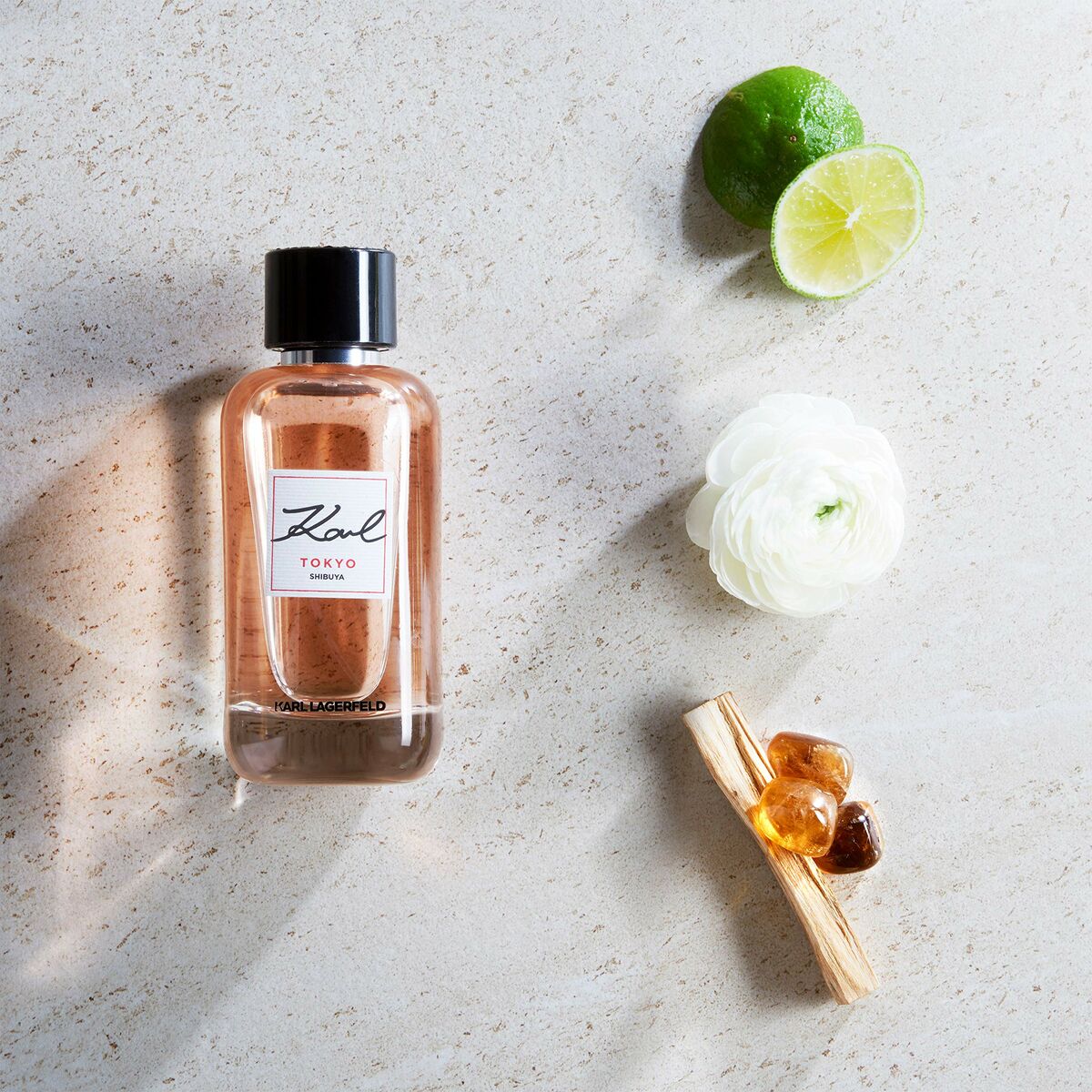 V4HA4997FC4E88AD77D0BCC08F97805C9D8R6965331P5