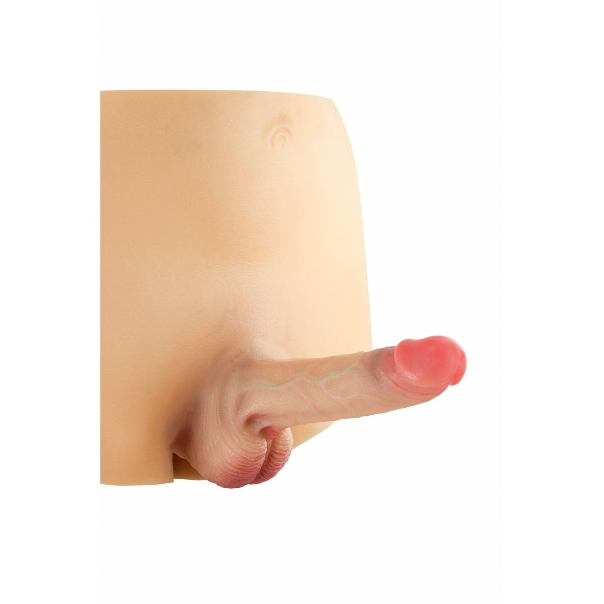 V5H81DE3564503503A685AA112636A51C09R4677529P3