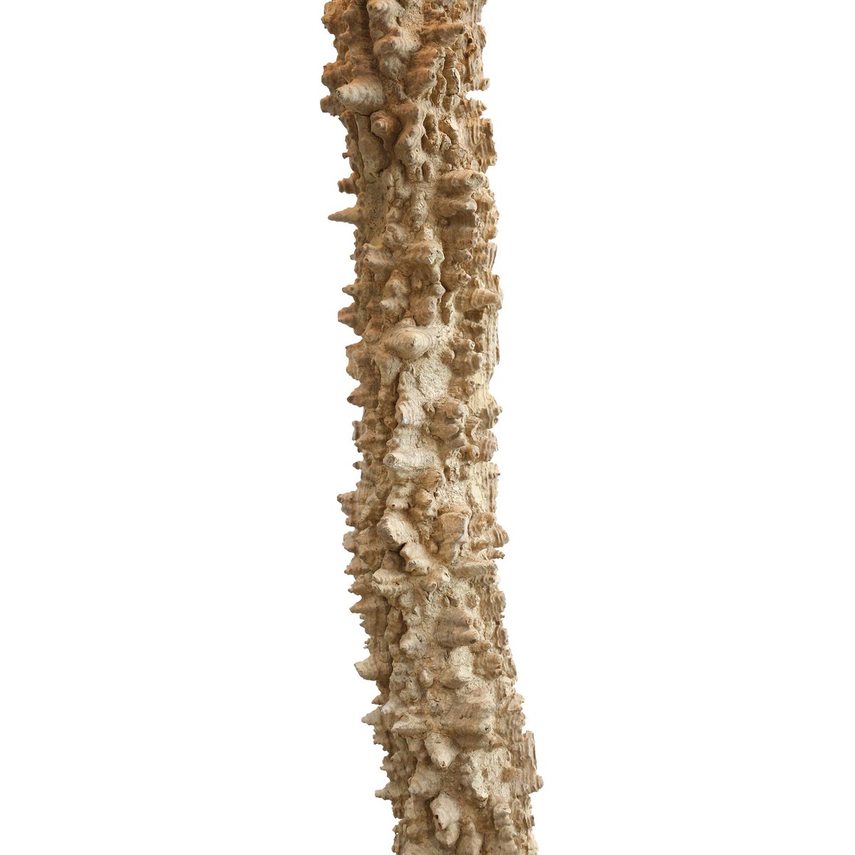 Vloerlamp drijfhout naturel/wit 150 cm