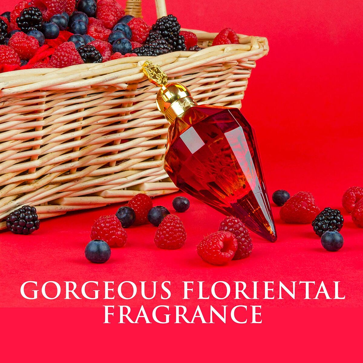 V5HDAFD0EC5C769425869A22CCE3B9D654FR5180772P6