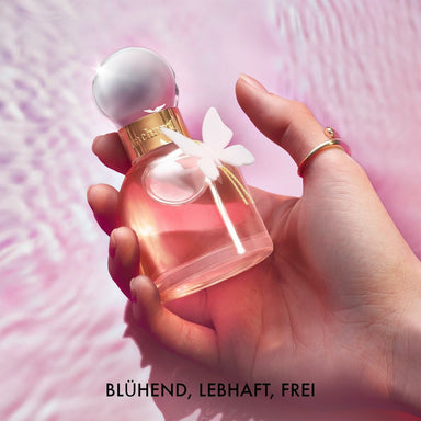 V2HA851428BF439CA07C5FCEE914DCCD977R7322039P2