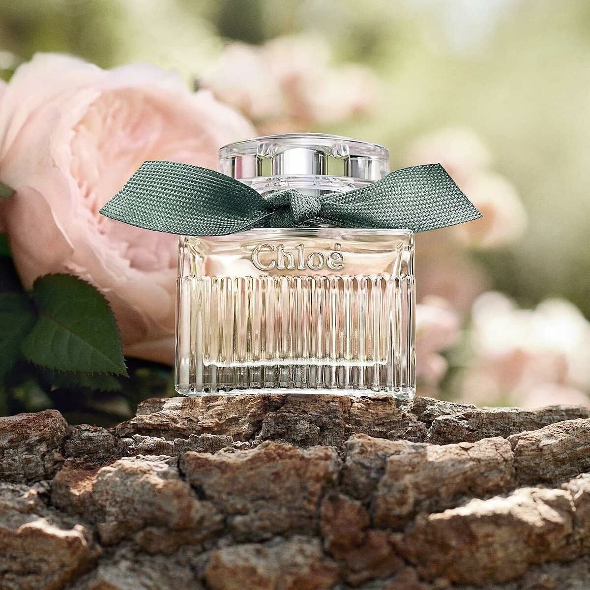 V5H432A1919219401D821E935B274F29999R5915429P5