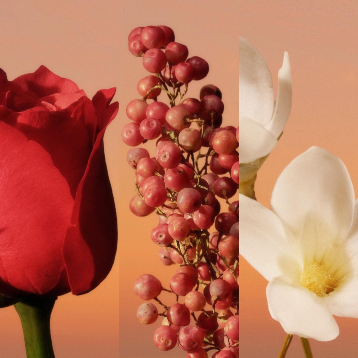 V3H0F5DDC916AB87D65A3F05F7623FDFFCFR7550202P4