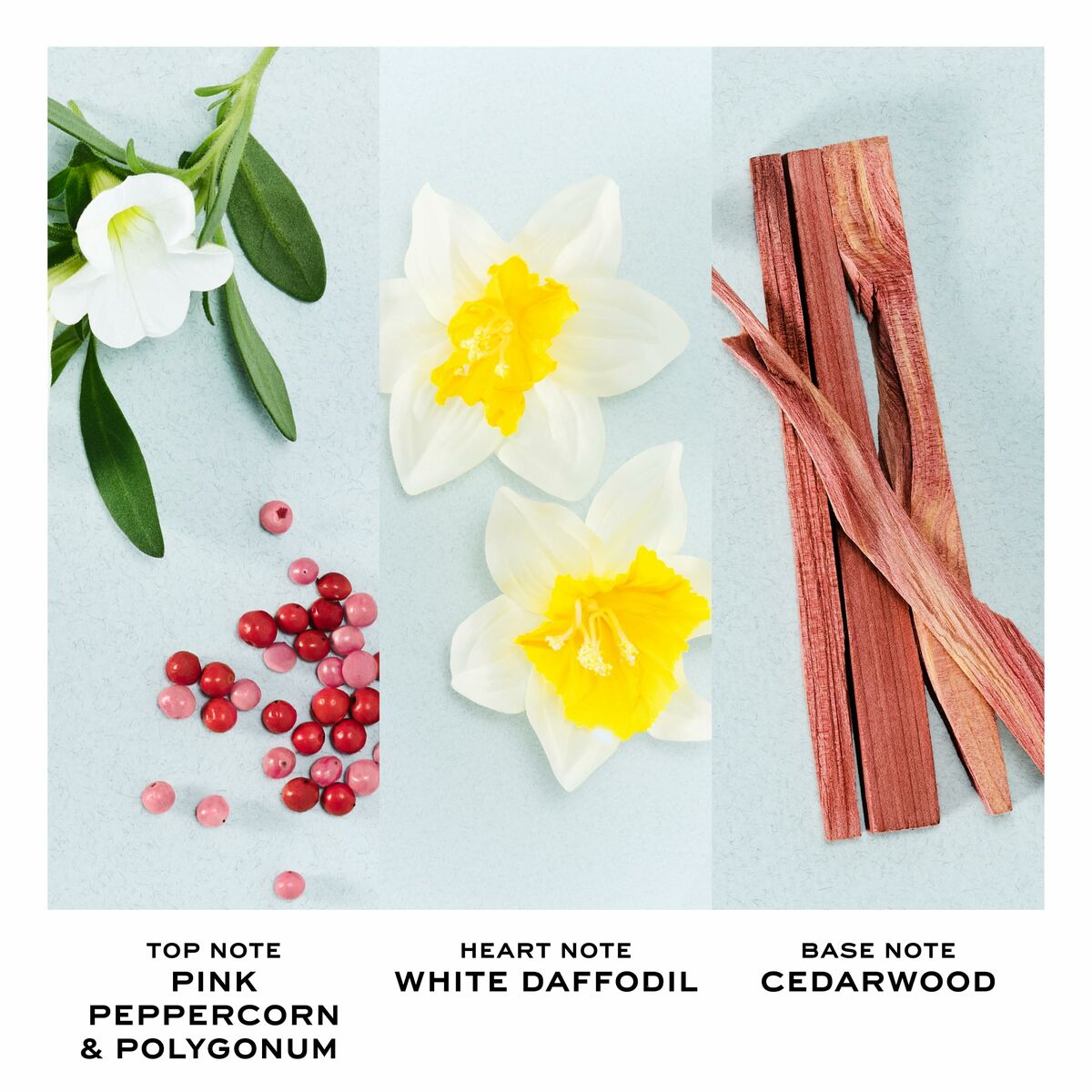 V4HC01E0E28DA16BBAB6ABCE9FF2960174AR7137004P3