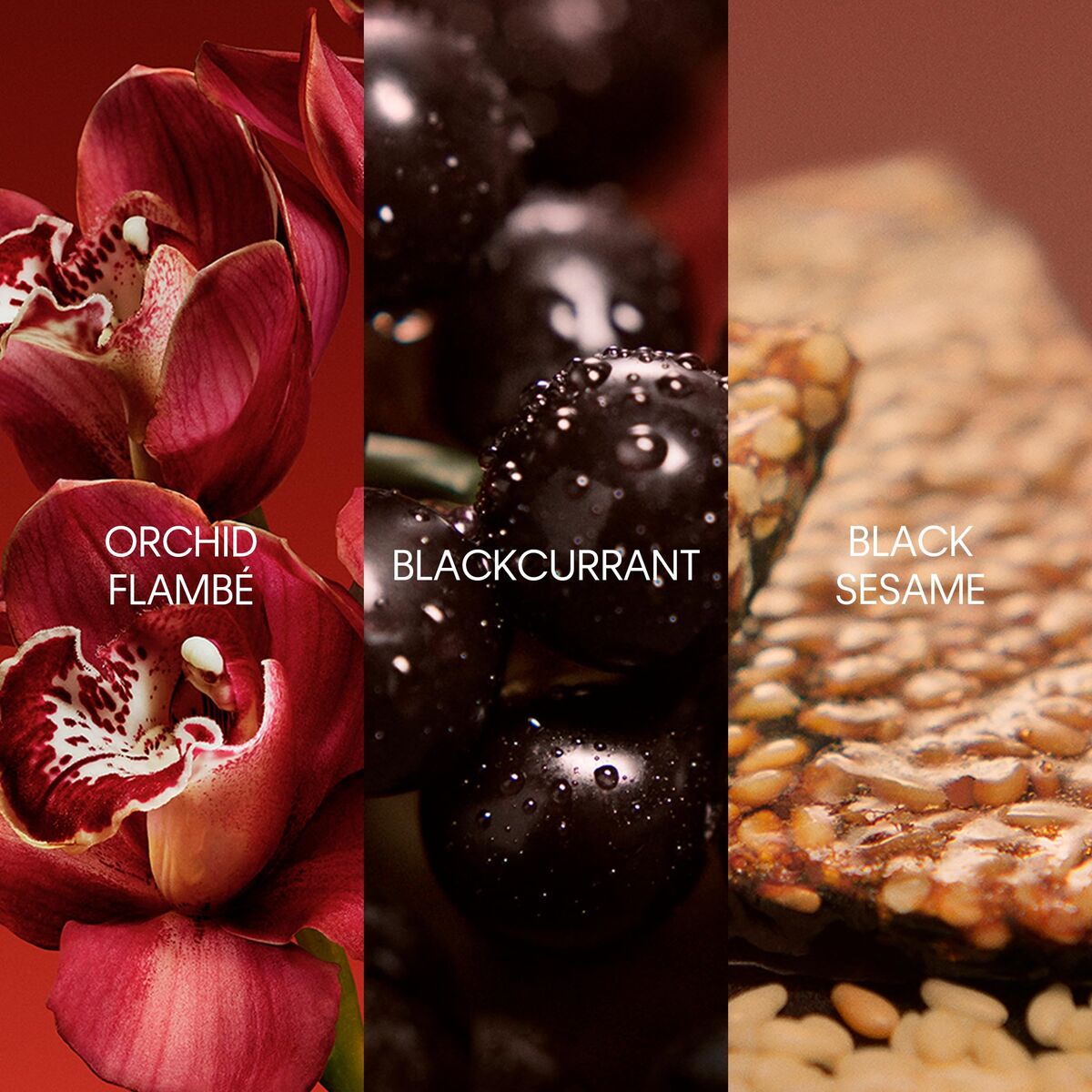 V2H72142A8EA9A6C46F7AA2E0EE2EB52F61R7550207P3