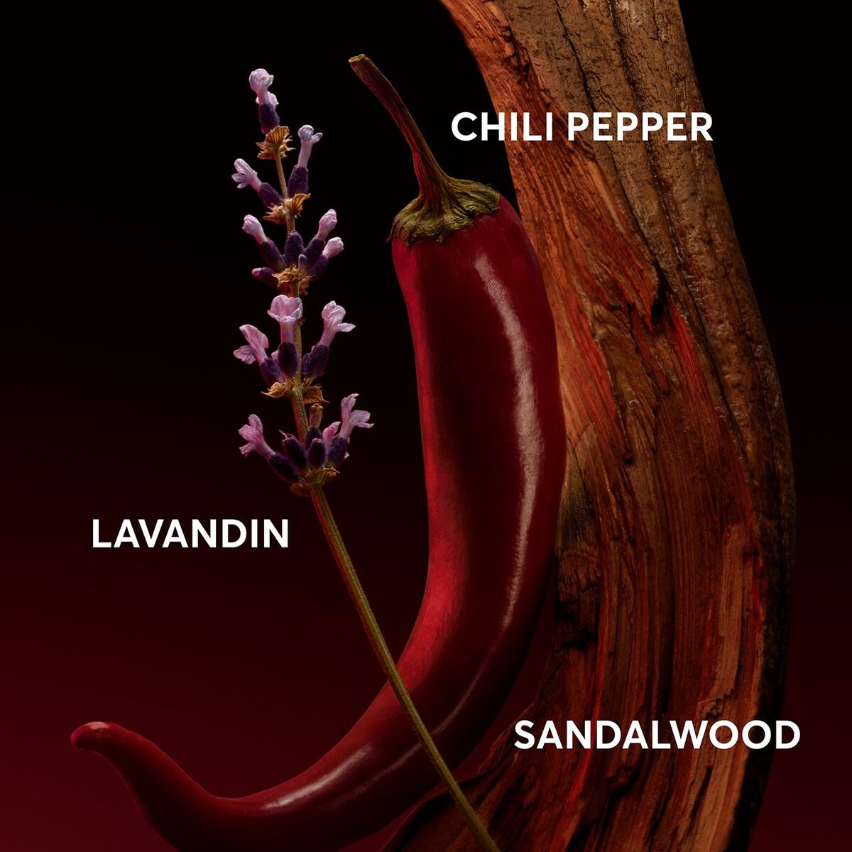 V6H44587E1C671DA8867BC70FC9E9E5F720R5856828P3