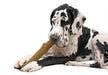 Petstages Dogwood Durable Stick Large 20 Cm