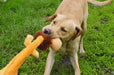 Happy Pet Wild Crinkler Leeuw 60X14X9 Cm