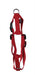 Martin Hondentuig Basic Nylon Rood 35-50X1,6 Cm