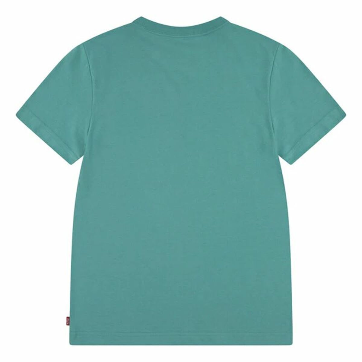 V4HB3AACCCC2EA743639A2D36F2531B925ER6162709P2