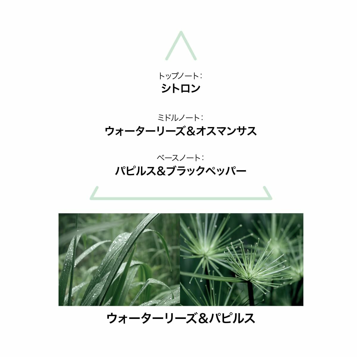 V4H75A089F122357ED96FBBD32DEAEA6905R6996324P3