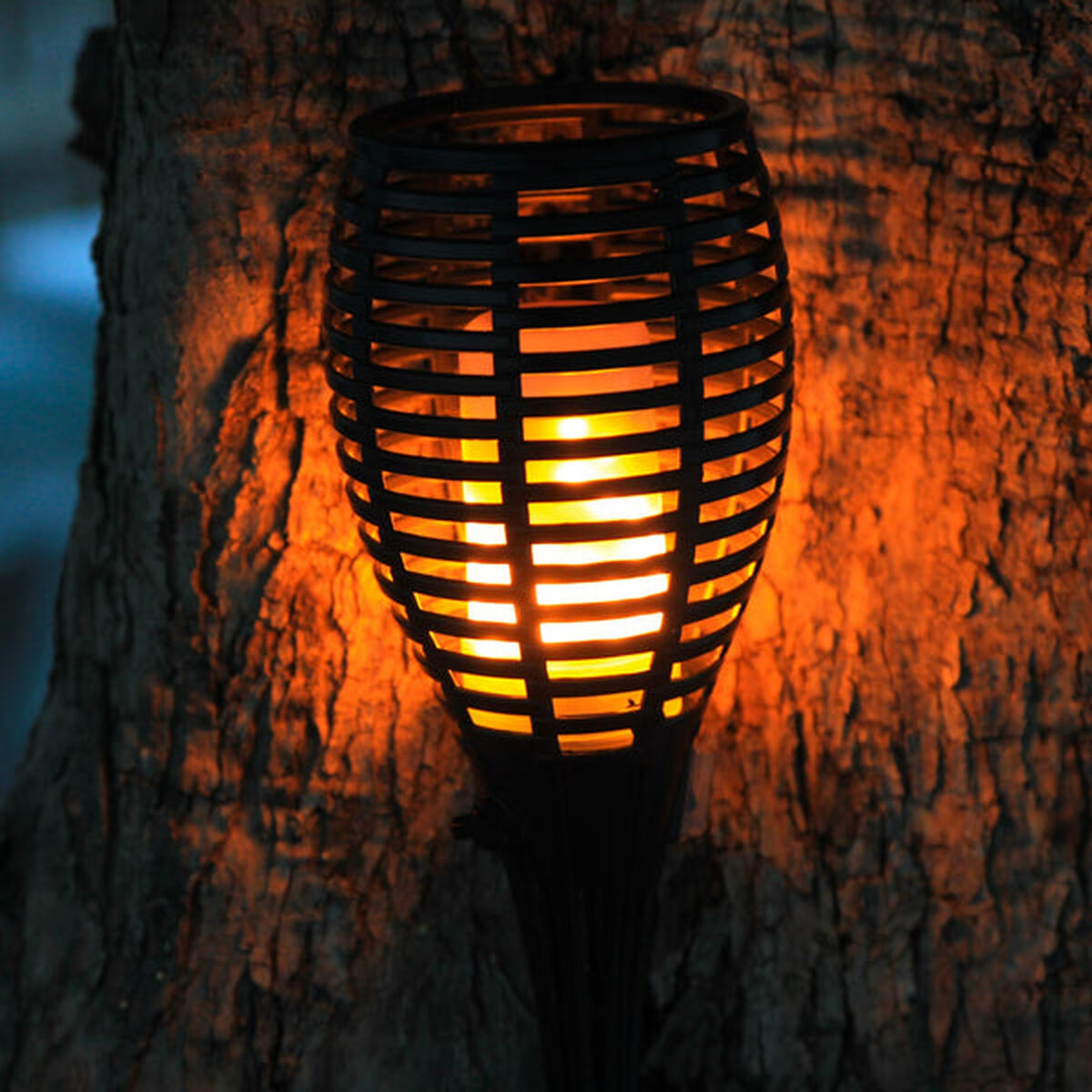 V10H3A611F9EC13F667EE5DBF07A1959E86ER3605406P3