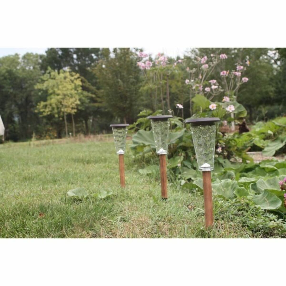 V6H08E88FCA7DFEFDA800F2A01142DD71CFR5567698P3