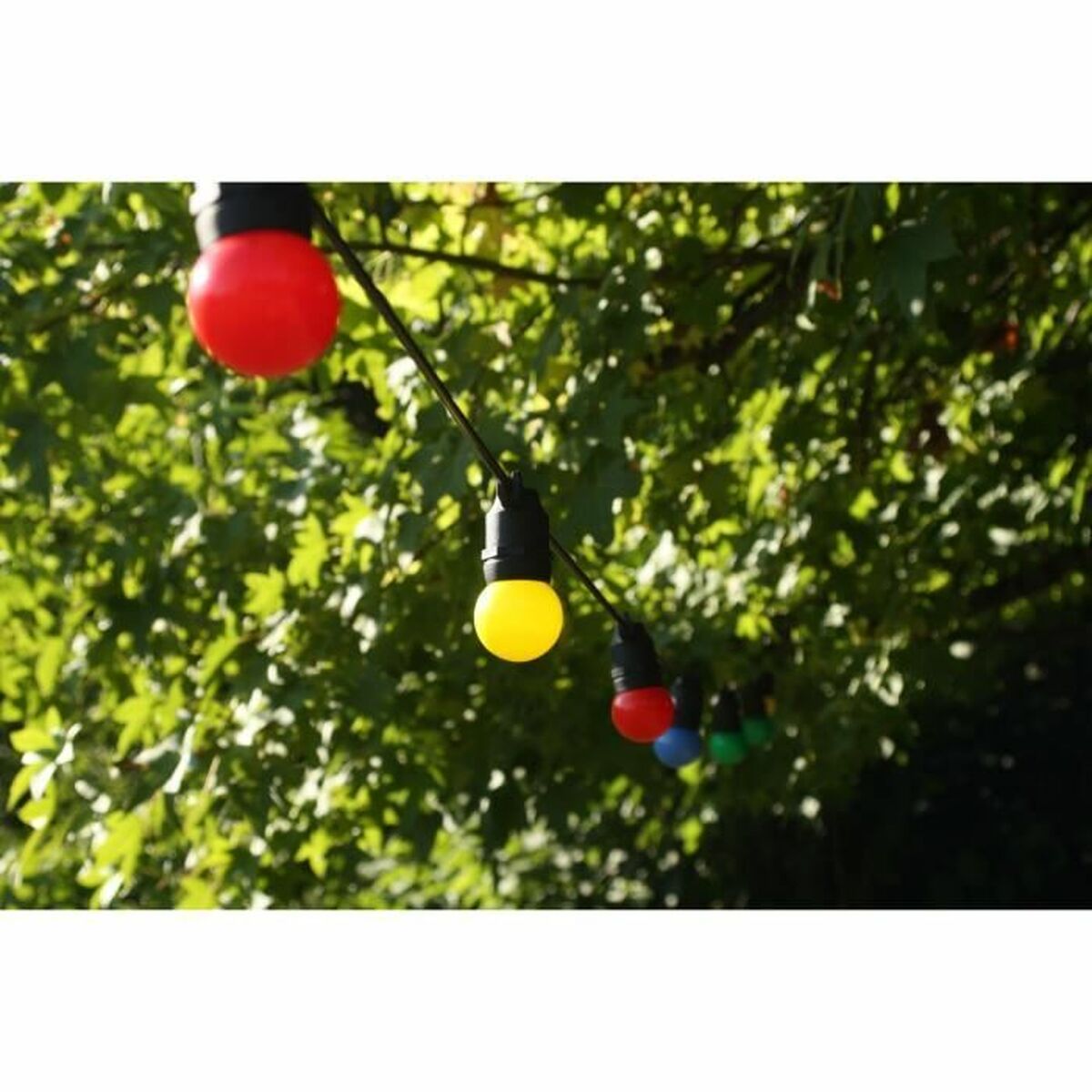 V4H8A97412CEBD38C9701869D08E137B911R7327697P5