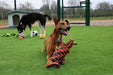 Happy Pet Nuts For Knots Extreme Spoel 8 Vorm Tugger Grijs / Oranje 55X11X11 Cm