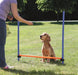 Trixie Dog Activity Agility Horde Blauw / Oranje 123X115X3 Cm