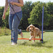 Trixie Dog Activity Agility Horde Blauw / Oranje 123X115X3 Cm