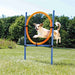 Trixie Dog Activity Agility Ring Blauw / Oranje 65X3X115 Cm