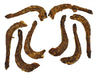 Petsnack Kalkoennek 1 Kg