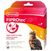 Beaphar Fiprotec Kat Tegen Vlooien & Teken 3+1 Pipet >1 Kg En 8 Weken