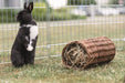 Trixie Wilgentunnel Konijn 38X20X20 Cm