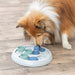 Trixie Dog Activity Intelligentiespel Flip & Fun 23X23 Cm