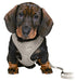 Trixie Junior Puppytuig Soft Met Riem Lichtgrijs 26-34X1 Cm  / 2 Mtr