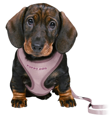Trixie Junior Puppytuig Soft Met Riem Lila 26-34X1 Cm  / 2 Mtr
