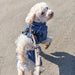Trixie Be Nordic Regenjas Husum Blauw