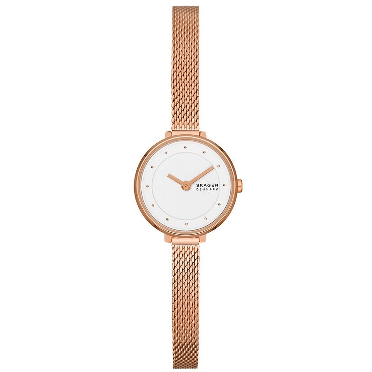 Horloge Dames Skagen GITTE LILLE (Ø 22 mm)