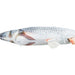 Trixie Kattentuig Mesh Y-Vorm Met Elastische Riem Assorti 36-60X100 Cm