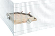 Trixie Landingsplaats Met Zitstokken Hout Naturel 19X19 Cm