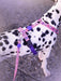 Morso Hondenriem Gerecycled Sweet Tweet Roze