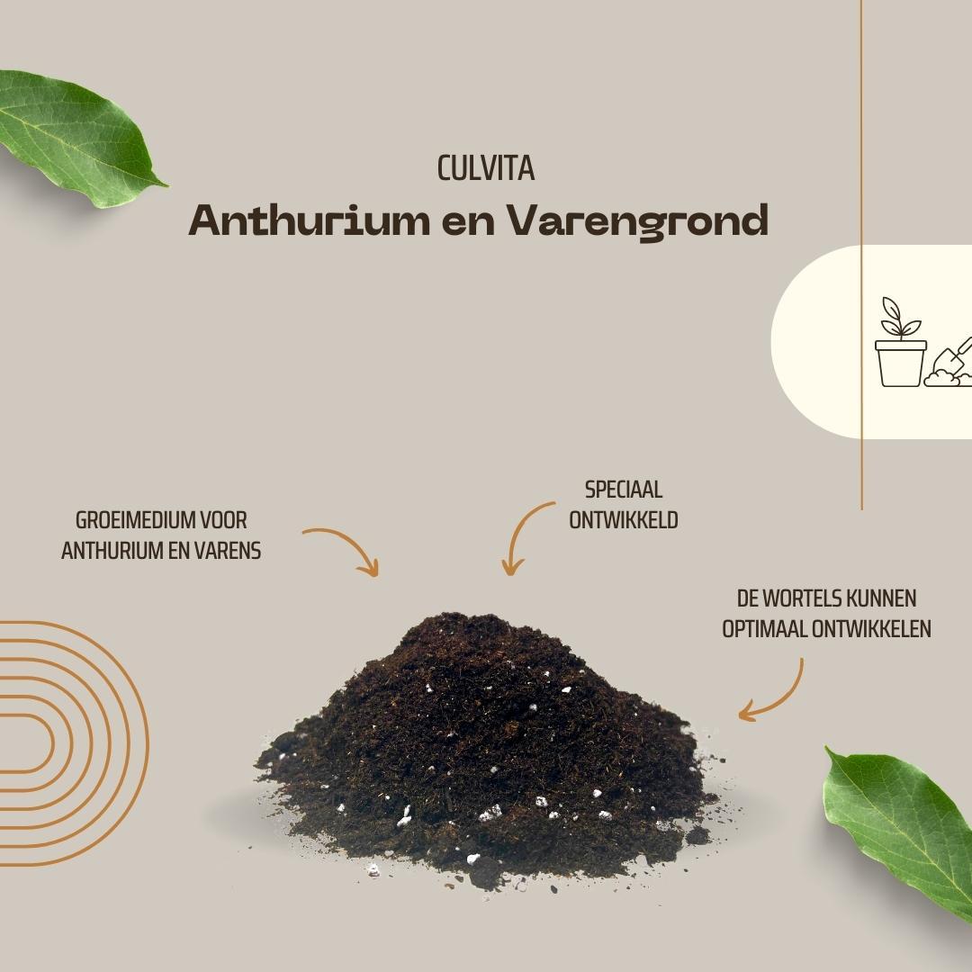 Culvita - Anthurium En Varengrond 5 Liter - Potgrond Geschikt Voor Anthurium En Varens