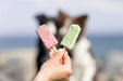 Trixie Ice Pop Roze 55 Gr