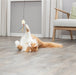 Trixie Kattenhengel Ster Kunststof / Pluche Met Catnip 46 Cm